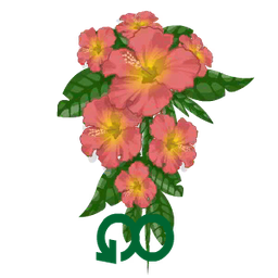 Hibiscus