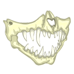 Dangerous Skeleton