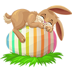 Sleepy Bunny