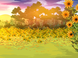 Mellow Summer