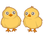 Chicky Chick