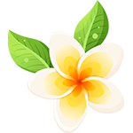 Fresh Hibiscus