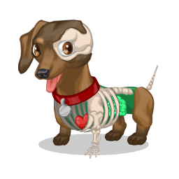 Dr. Bones