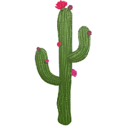 Love Cactus