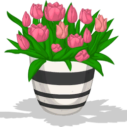 Valentine Tulips