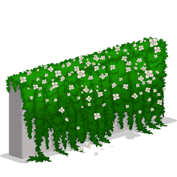 Flower Wall