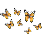 rainbow_2020_butterflystickers_dg
