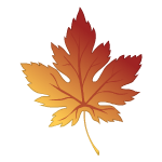 Maple Leaf