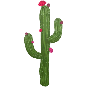 Love Cactus