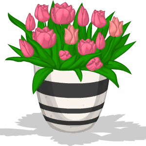 Valentine Tulips