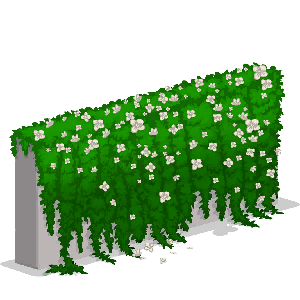 Flower Wall
